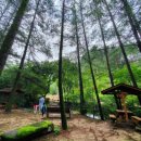 (주)비바다우 | 나스닥은 최고치, 테슬라 11% 폭등/ 애플주식 1000원어치만 살게요/ 집주인 甲 지역 속속 월세전환/ 新...
