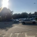 탄금대 | 충북 충주 탄금대 산책 후기