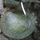 내장산관광안내소 이미지