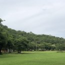 세븐스타 이미지