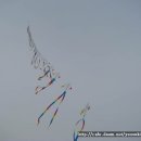 소호요트경기장 이미지