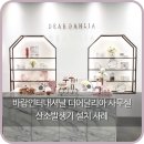 옥서스인터내셔널 네이버블로그