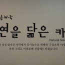 함해국자연을닮은카페 네이버블로그