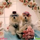 동대입구역 2번 출구, 태극당앞 이미지