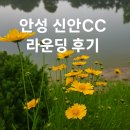 안성 신안CC 라운딩 후기