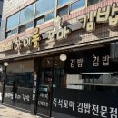[목동 혼밥 추천] 하이롱 꼬마김밥 목동점 솔직후기 (온통대전 가능?, 목더리 혼밥)
