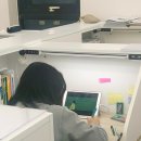 수오재관리형스터디카페 네이버블로그