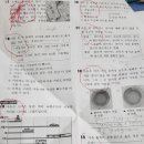 광양마로초등학교 이미지