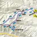 신선대 입구 임도 이미지