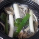 파뿌리김치찌게
