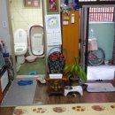 신선동-9 이미지