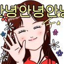 닥터시스 셀클럽 - 연제구 | 닥터시스 셀클럽