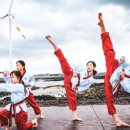 오즈태권도2관 이미지