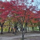 서각1 | 세상에 이런일이 재방송 92세 서각왕 김연제 할아버지.