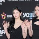 비비드림