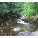 샤브작 - 동두천시 | 샤브작