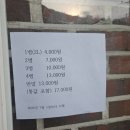 북면온천 | 북면 온천양조장 막걸리 구입 후기 + 산책 중 만난 꼬마 수박