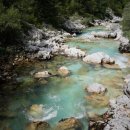 나무안에서 이미지