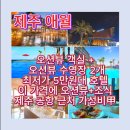 탐라스테이 | 탐라스테이 호텔 가성비 숙소 추천｜제주 탐라스테이 최저가 비교 후기 + 탐라스테이 제주 오션뷰...