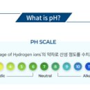 (주)딥플랜트 이미지
