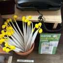 닭발과 코다리 | 봉선동맛집, 광주코다리맛집, 만찬코다리 봉선동본점