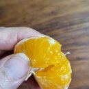 수우농원