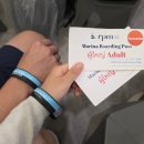 작은섬 1 | [푸켓 여행] 태국 푸켓 여행 액티비티 추천! 피피섬 1일 투어 후기