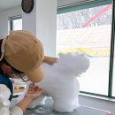 개인정애견샵 이미지