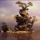 풍경의 바다 이미지