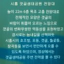 시흥갯골생태공원의 겨울풍경 1편 이미지