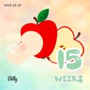 아주대학병원 | [임신기록]15주_ 배크기 임부복 쇼핑, 아주대학병원 혈액종양내과 검사결과