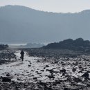 대부도관광안내소 이미지