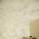 닥터포헤어 케어랩 강남 이미지