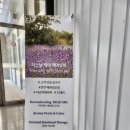 에스쁘아미용실 네이버블로그
