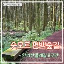 둘레길9구간 | 한라산 둘레길 9구간 숫모르편백숲길 제주숲체험