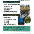 현성초등학교 이미지