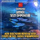 [성인 및 어르신] 심화한글 | 상하이 해양 수족관 오션 아쿠아리움 총정리 (+가족할인)