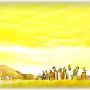 (주)손안에세상 Daum카페