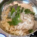 동백아나고 이미지