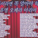 바리톤 ﻿오페라 아리아 33곡 01. Di provenza il mar - La Traviata – G. Verdi - Renato B 이미지