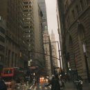 여행, 미룰 수 없는 자유 이미지