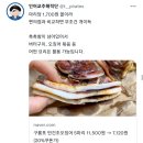 너네도 인어교쥬해적단 ㅌㅇㅌ 광고 엄청 떠? ㅜ 이미지