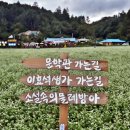 봉평메밀 허생원메밀국수 이미지