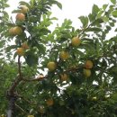 골드농장 이미지