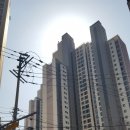 역삼사진 이미지