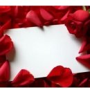 장갈비찜 이미지