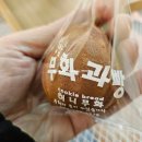 허니무화 이미지