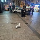 리버풀 스테이션 | 251229 히스로공항에서 바로 리버풀 가는 법