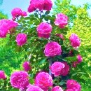 6월 16일 월요일 간추린 뉴스와 날씨 이미지