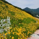 새마을운동발상지기념공원 이미지